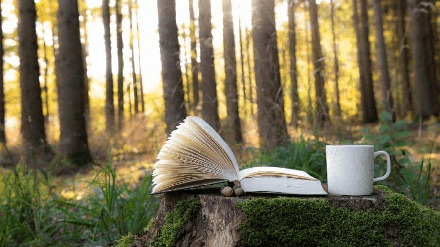 An open book, a coffee mug, and a couple of acorns rest on a mossy tree stump in the forest. 